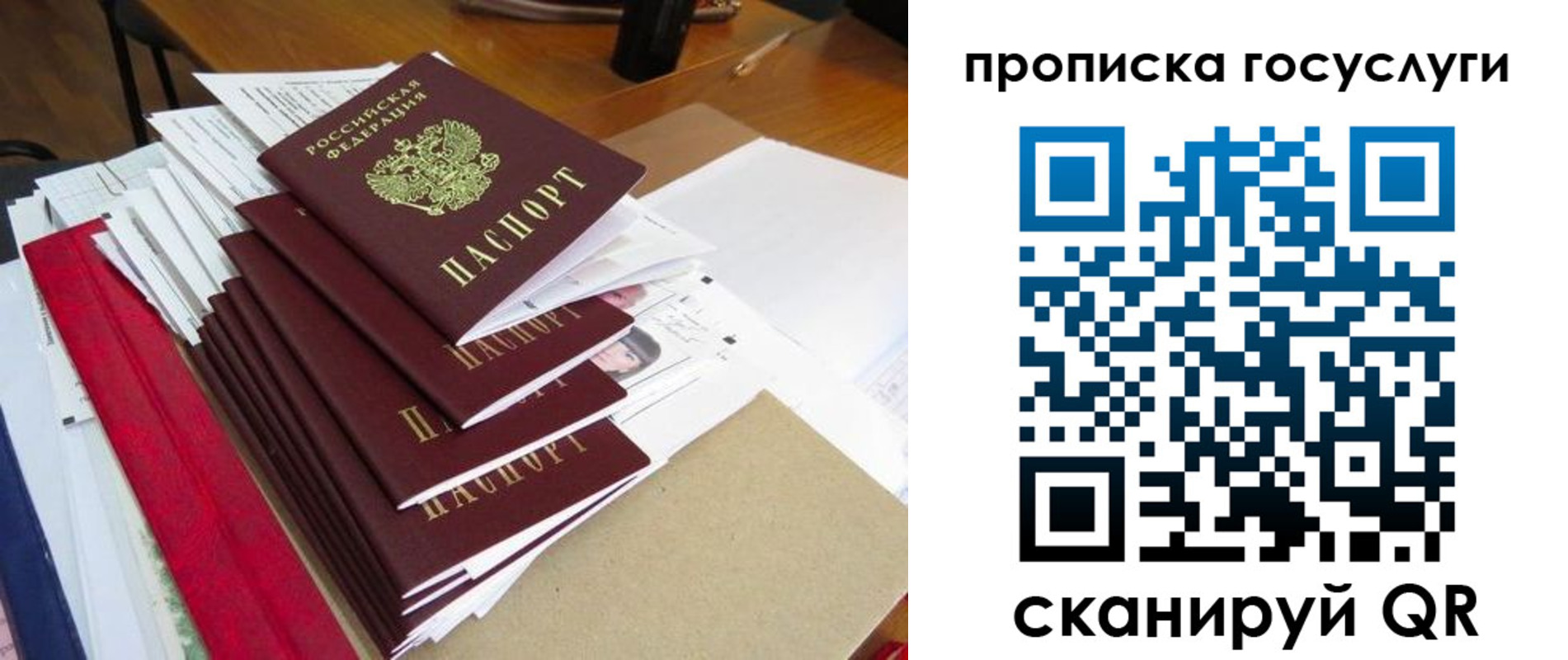 временная регистрация купить в Красногорске